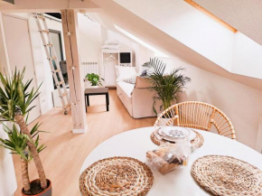 STUDIO TERRASSE